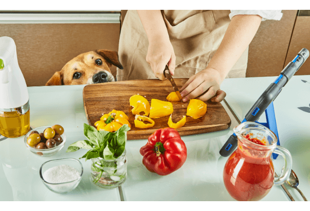 comida casera para perros