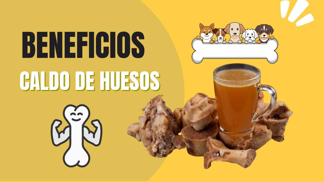 caldo de huesos