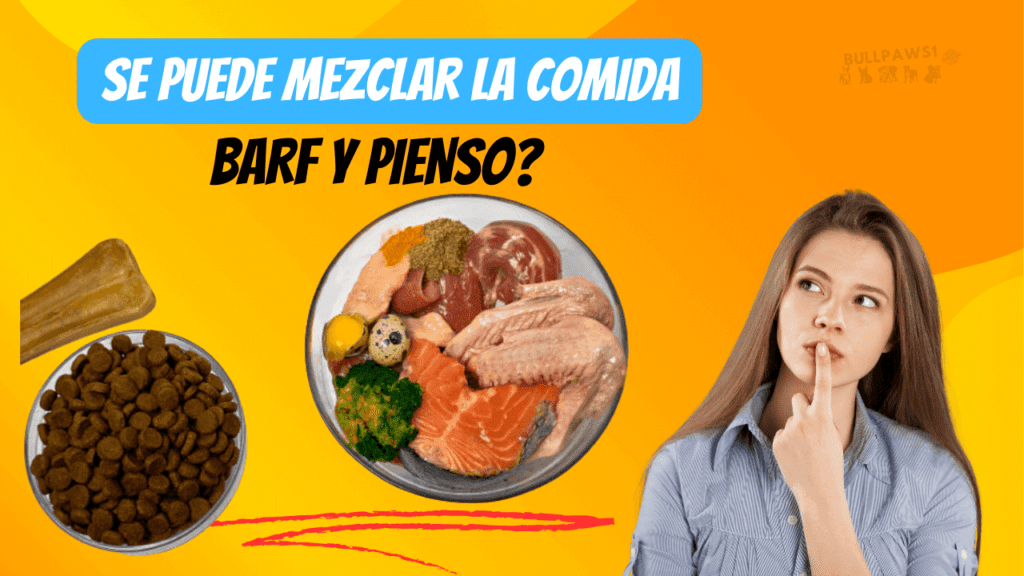 mezclar dieta BARF y pienso