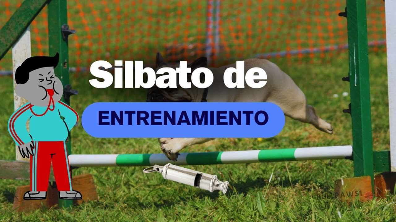 Silbato de Entrenamiento para Perros