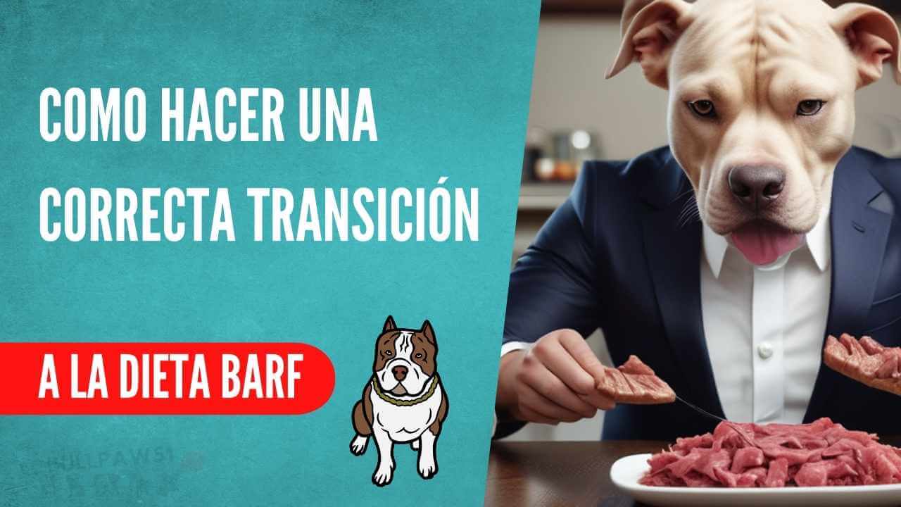 Transición a la Dieta BARF