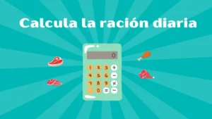 calculadora dieta barf