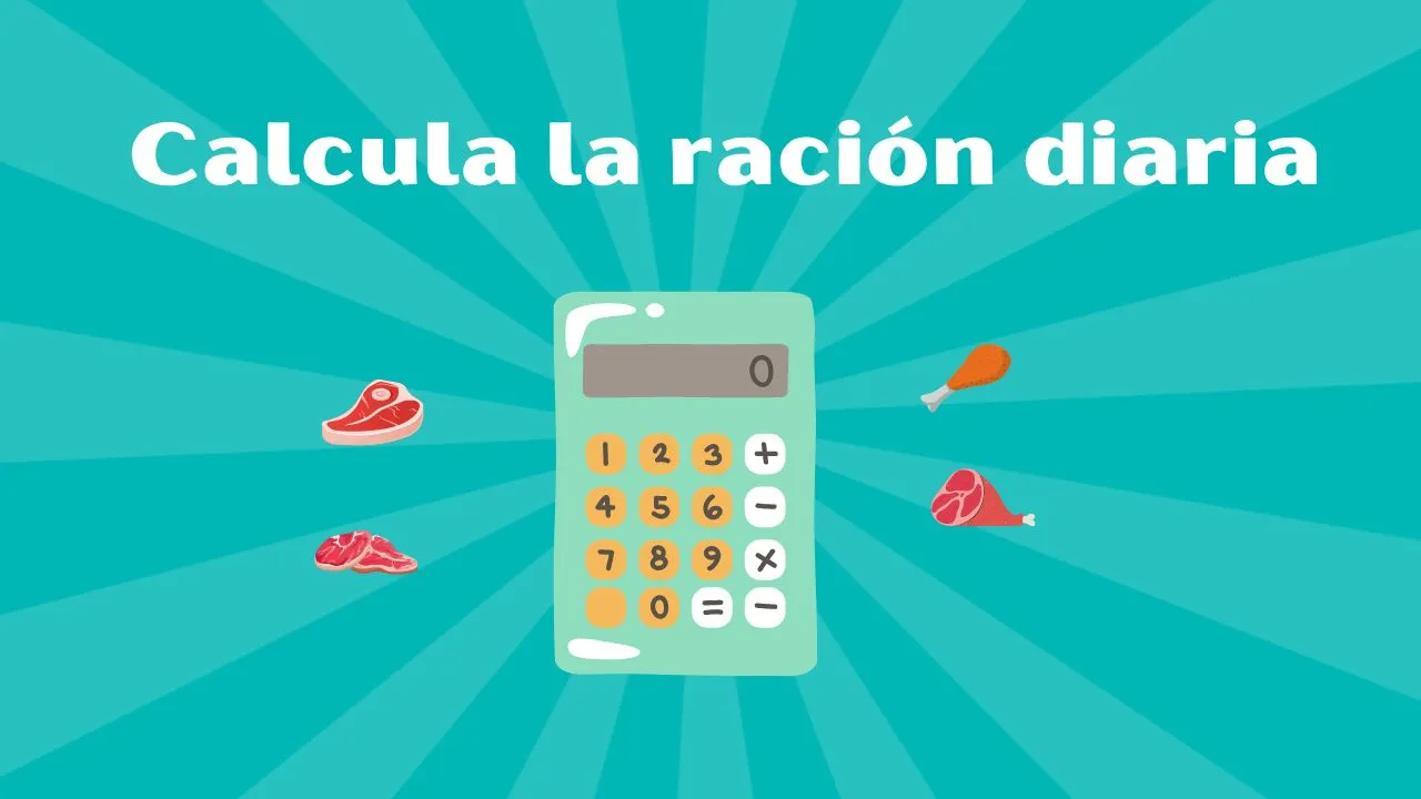 calculadora dieta barf