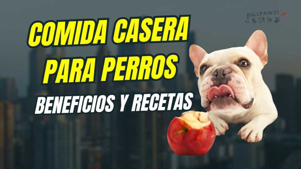 comida casera para perros