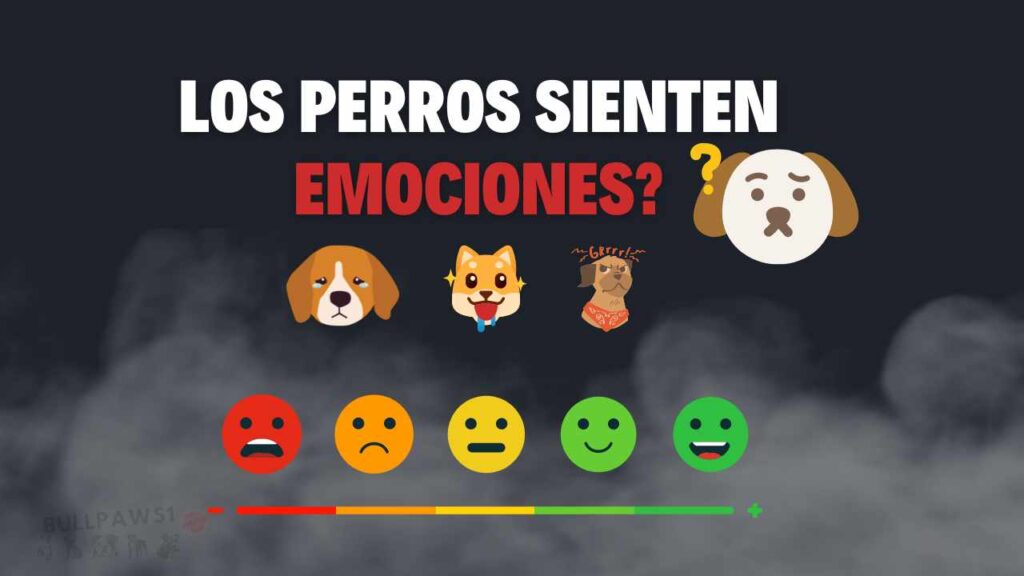 Los Perros Sienten Emociones