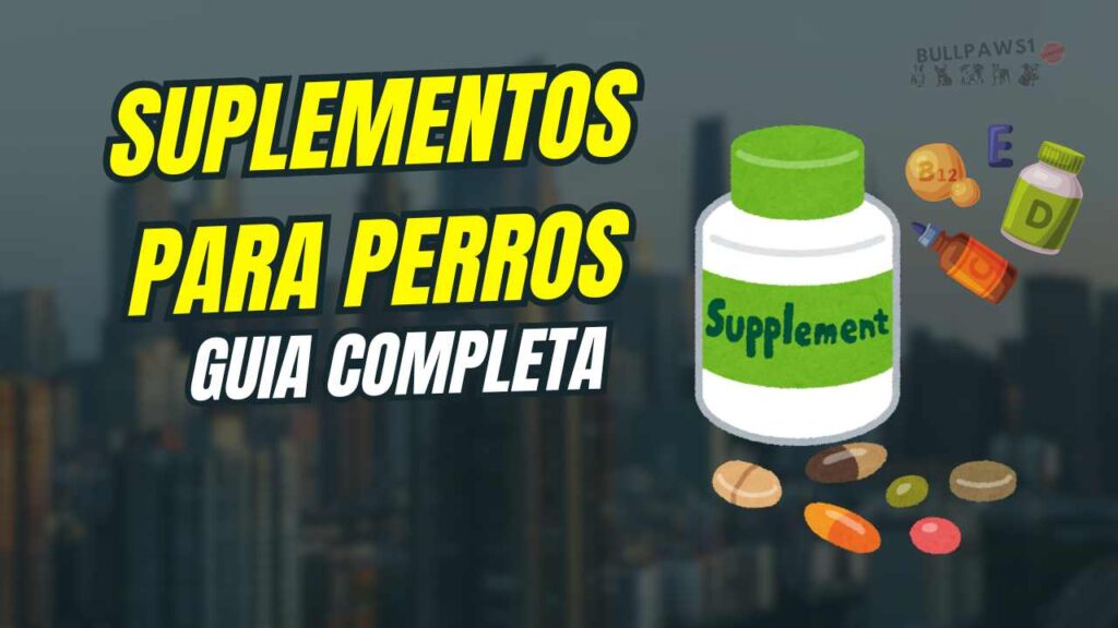 Suplementos para Perros