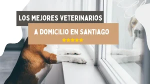 veterinarios a domicilio en Santiago